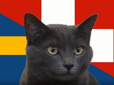 Mèo tiên tri dự đoán kết quả Anh vs Colombia: Cú sốc cuối